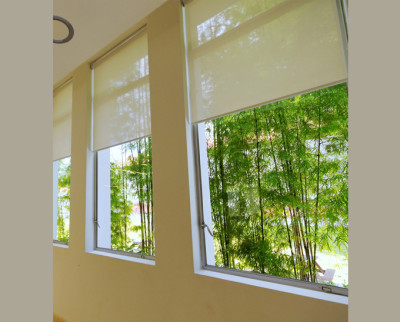 Mild Roller Shade