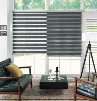 Lewis Zebra Shade