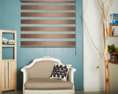 Olive Zebra Shade