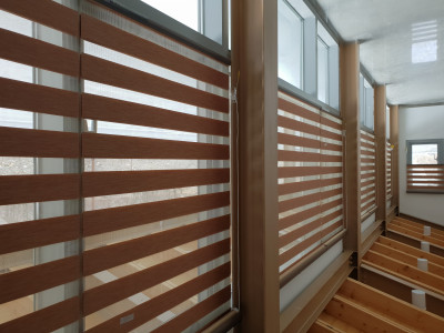 Timberlook Zebra Shade