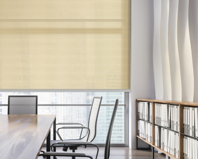 Sindy Roller Shade